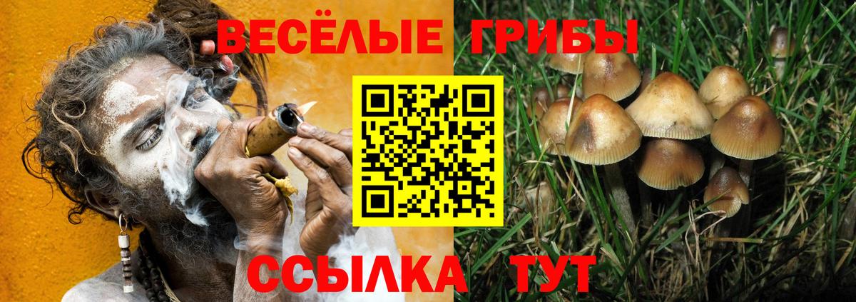 Псилоцибиновые грибы GOLDEN TEACHER  Псилоцибиновые грибы GOLDEN TEACHER  Вход с VPN  Белебей 